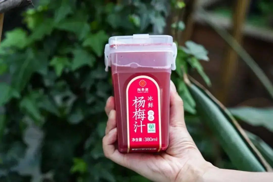 1736926351985559.jpg 楊梅汁01.jpg